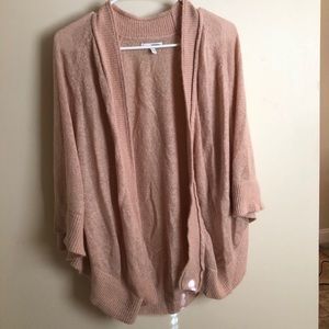 Blush Duster